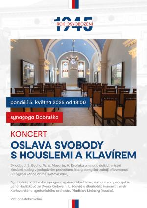 KONCERT - OSLAVA SVOBODY S HOUSLEMI A KLAVÍREM 1