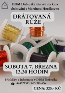 DRÁTOVANÁ RŮŽE 1