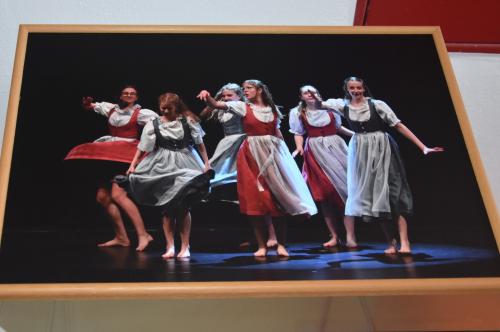 Výstava fotografií Luboše Doležala "Promluvíme tancem"